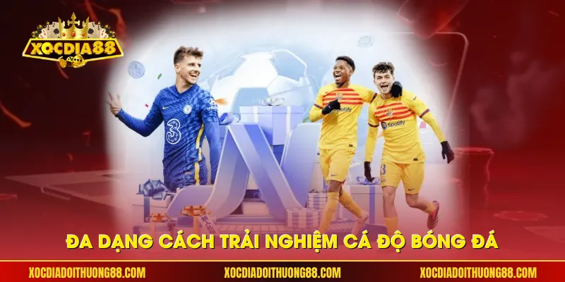 Đa dạng cách trải nghiệm cá độ bóng đá