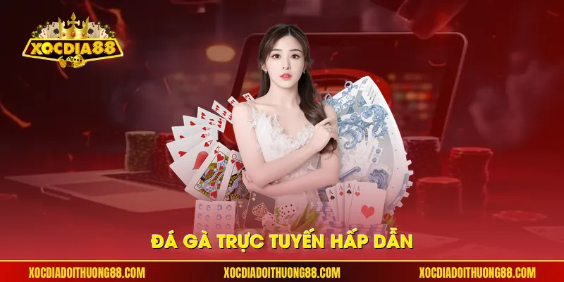 Đá gà trực tuyến hấp dẫn