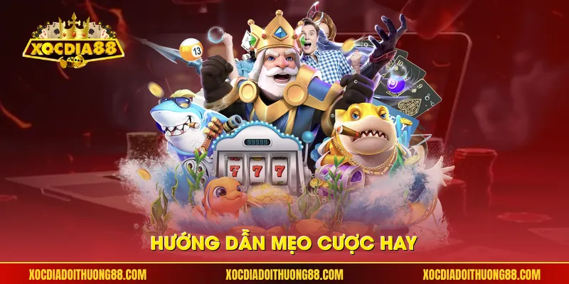 Hướng dẫn mẹo cược hay