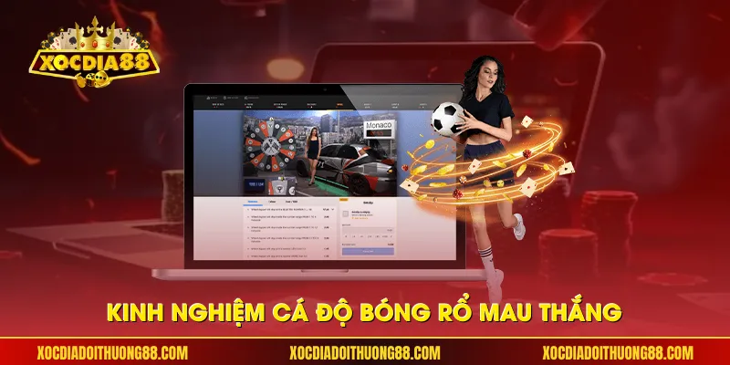 Kinh nghiệm cá độ bóng rổ mau thắng