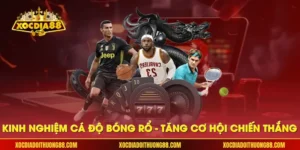 Kinh nghiệm cá độ bóng rổ